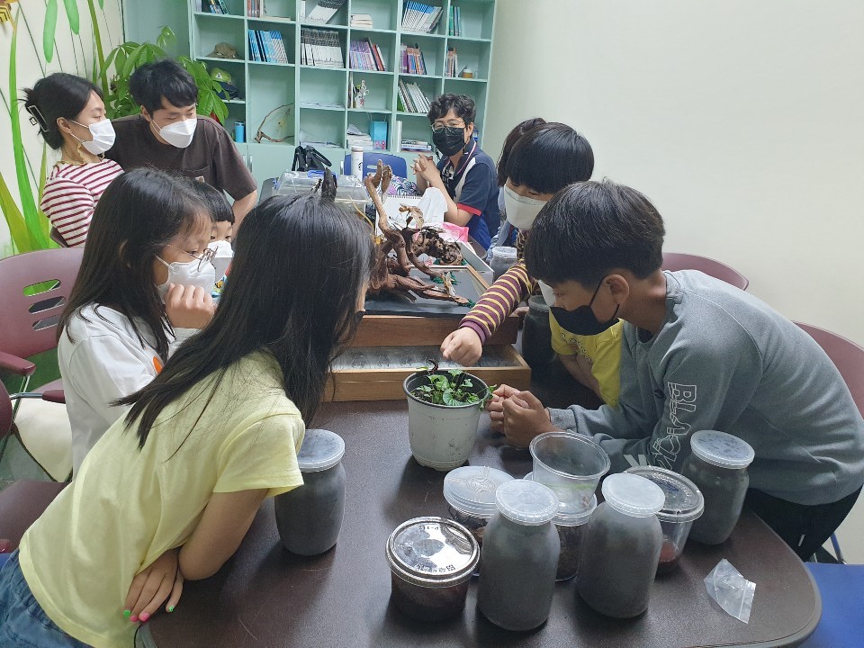 나비와 곤충 기르기(5월 9일 토요일)이미지